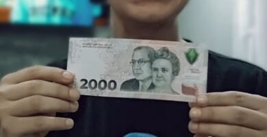 Guía completa para identificar billetes de $2.000 pesos argentinos en 2024.